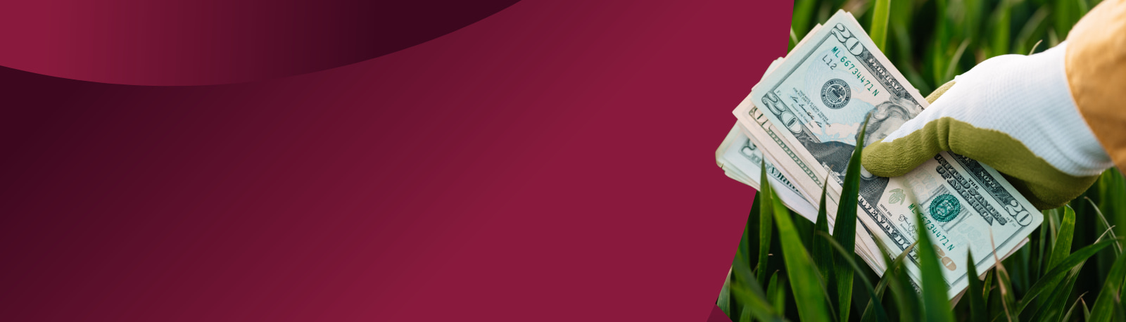 Spring Cleaning Blog Hero Image